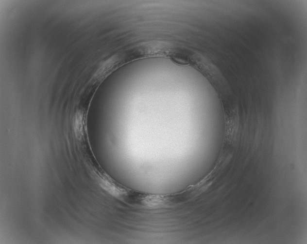 X0000079320142200612011852