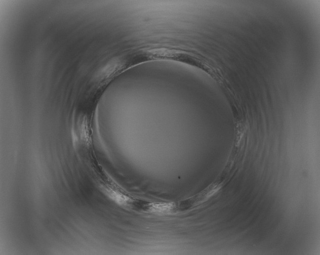 X0000079320143200612011852