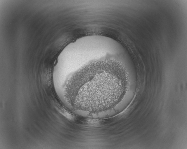 X0000079320144200612011852