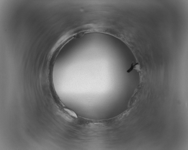 X0000079320150200612011851