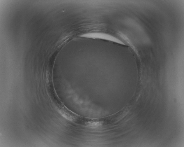 X0000079320161200612011851