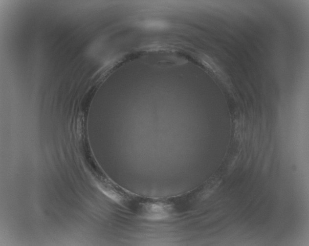 X0000079320165200612011851