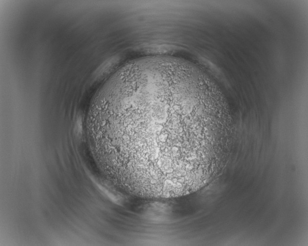 X0000079320166200612011851