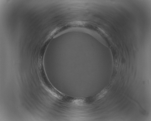 X0000079320168200612011851