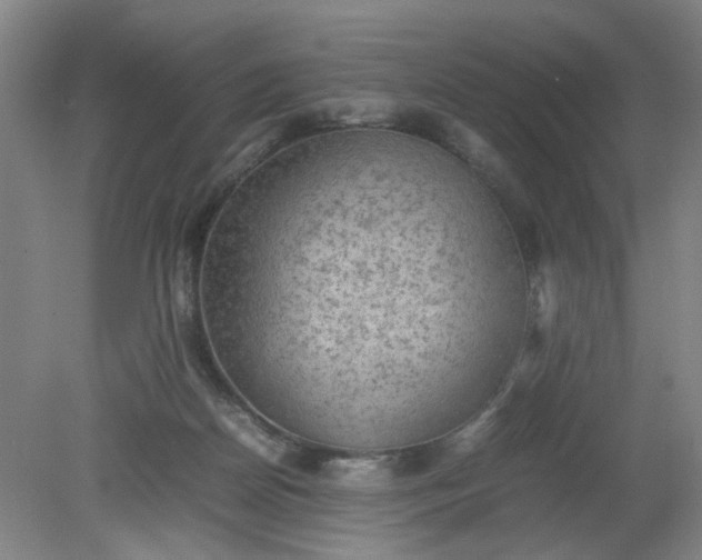 X0000079320170200612011851