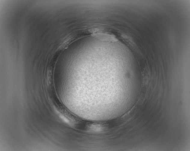 X0000079320171200612011851