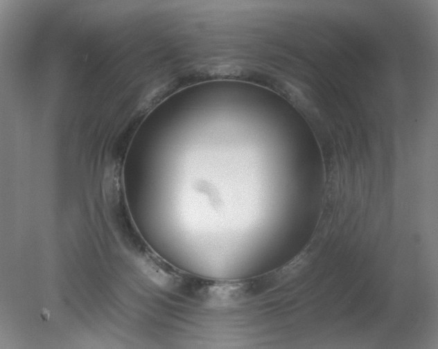 X0000079320172200612011851