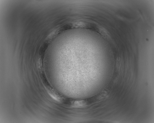 X0000079320173200612011851