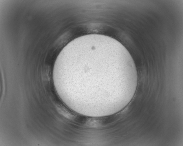 X0000079320174200612011851