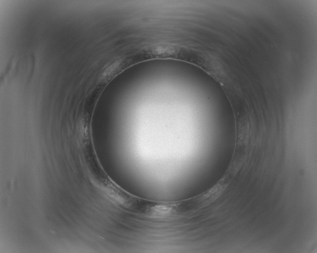 X0000079320176200612011851