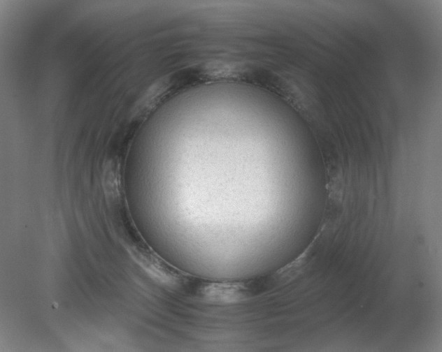 X0000079320179200612011851