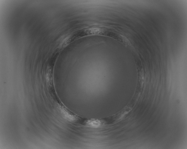 X0000079320181200612011851