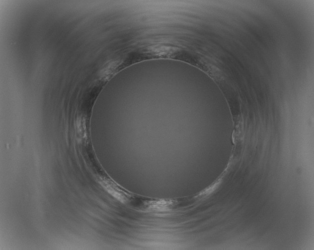 X0000079320182200612011851