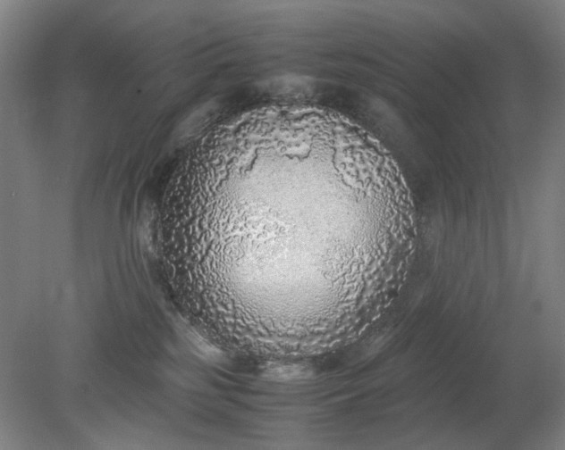 X0000079320185200612011851