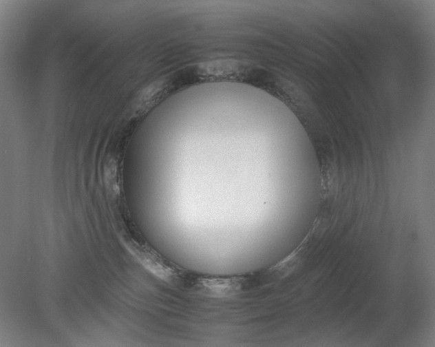 X0000079320187200612011851