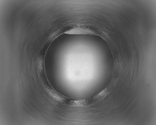 X0000079320188200612011851