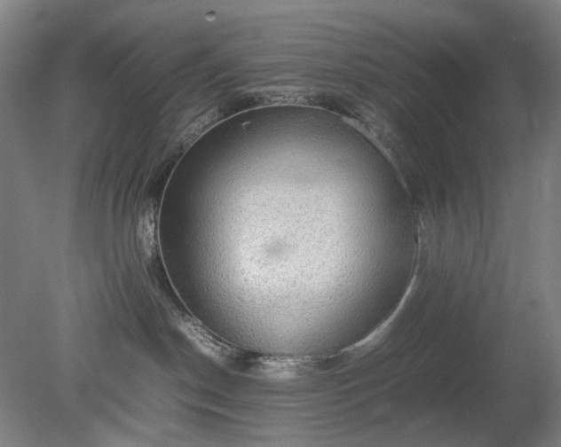 X0000079320190200612011852