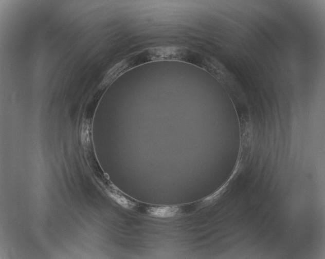 X0000079320191200612011852