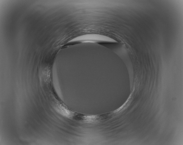 X0000079320192200612011852