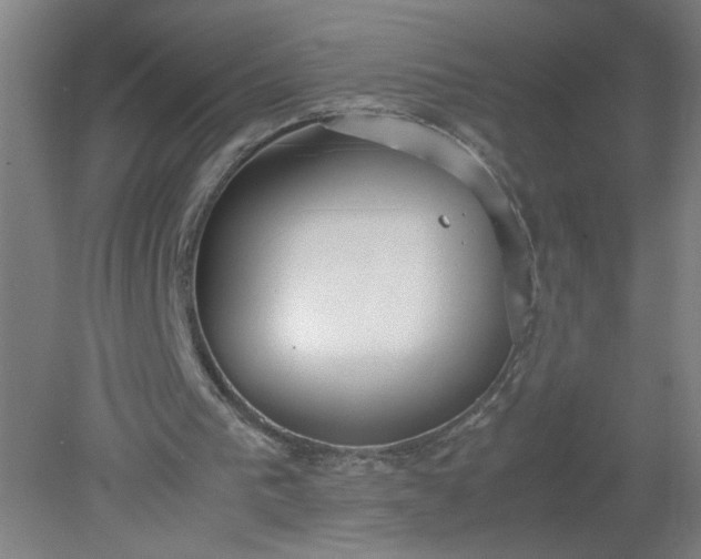 X0000079320193200612011851