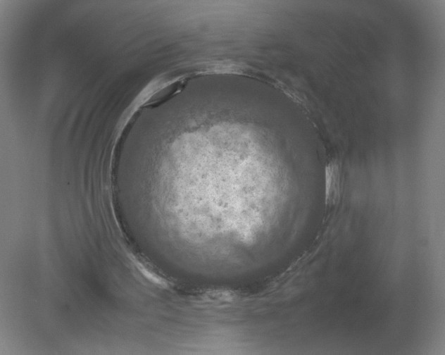 X0000079320195200612011851