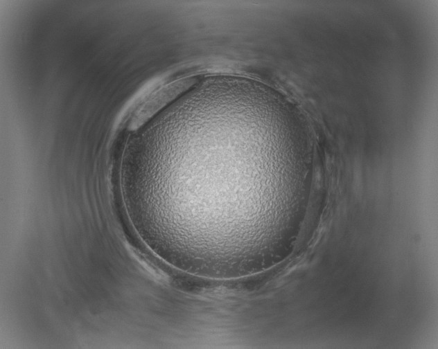 X0000079320197200612011851