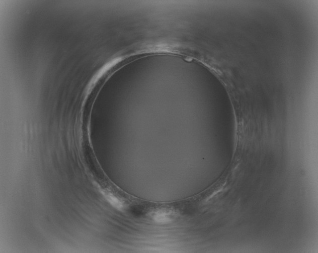 X0000079320200200612011851