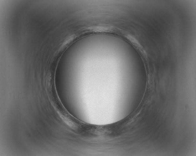 X0000079320201200612011851