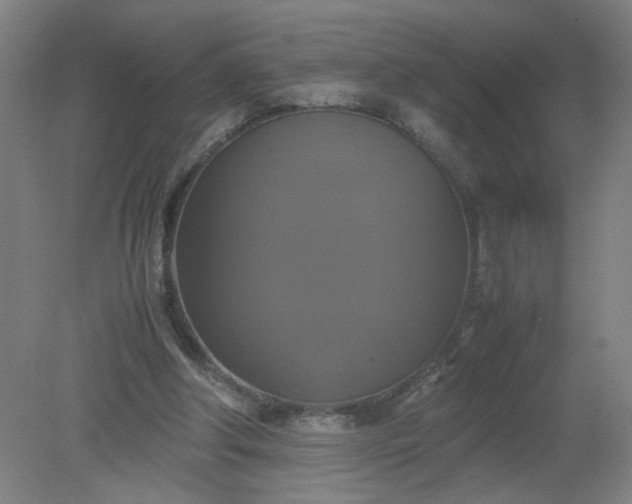 X0000079320202200612011851