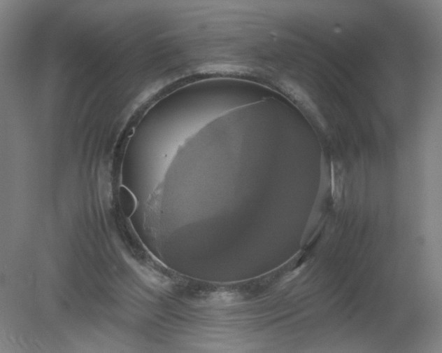 X0000079320204200612011851