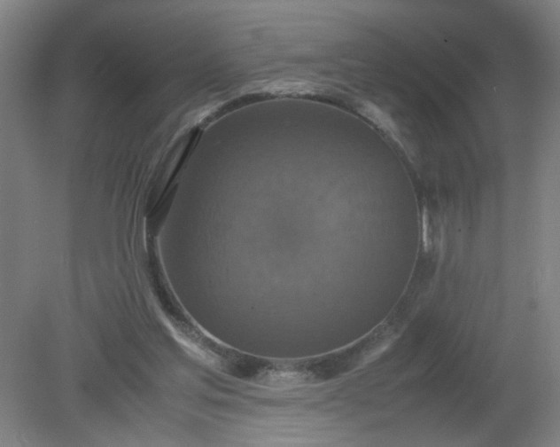 X0000079320205200612011851