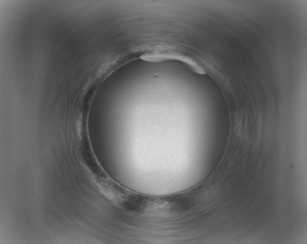 X0000079320206200612011851