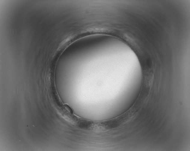 X0000079320207200612011851