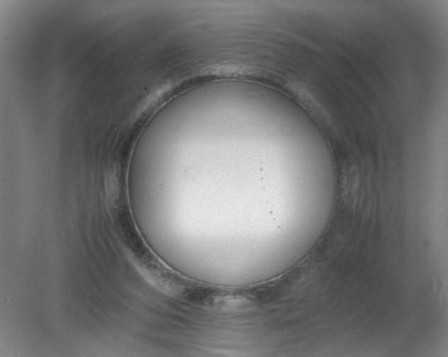 X0000079320208200612011850