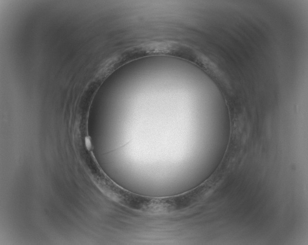 X0000079320209200612011850