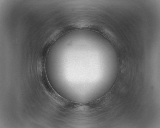 X0000079320210200612011850