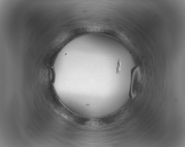 X0000079320211200612011850