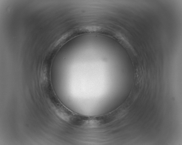 X0000079320212200612011850