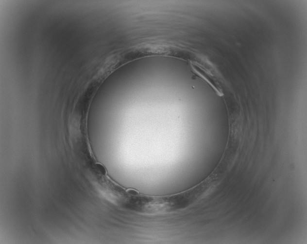 X0000079320213200612011850