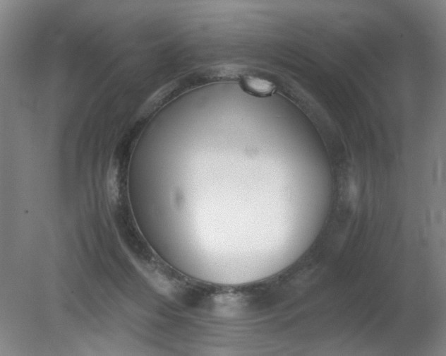 X0000079320216200612011850