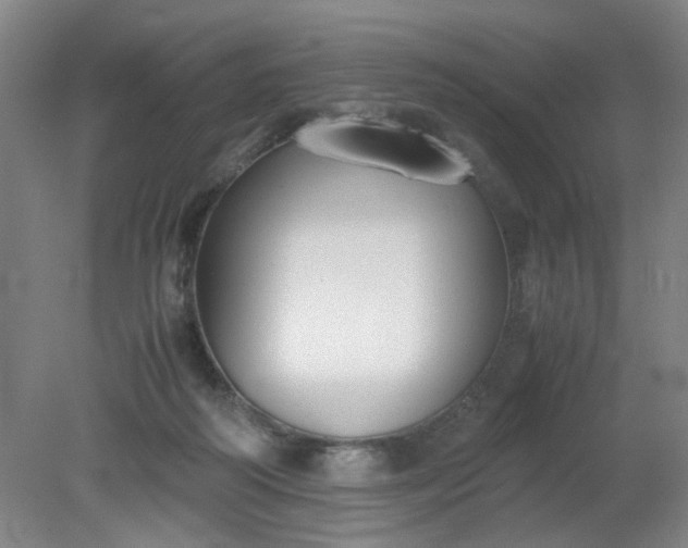 X0000079320218200612011850