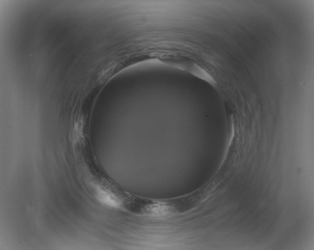 X0000079320219200612011850