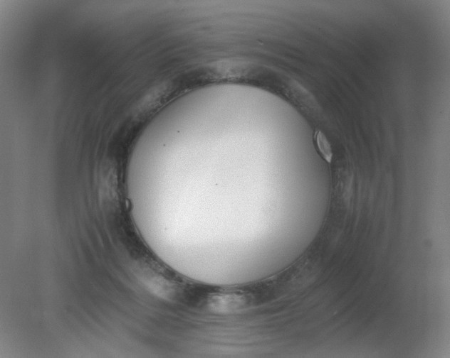 X0000079320220200612011850