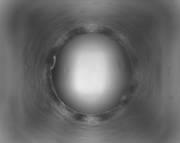 X0000079320221200612011850