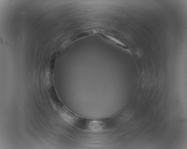 X0000079320222200612011850