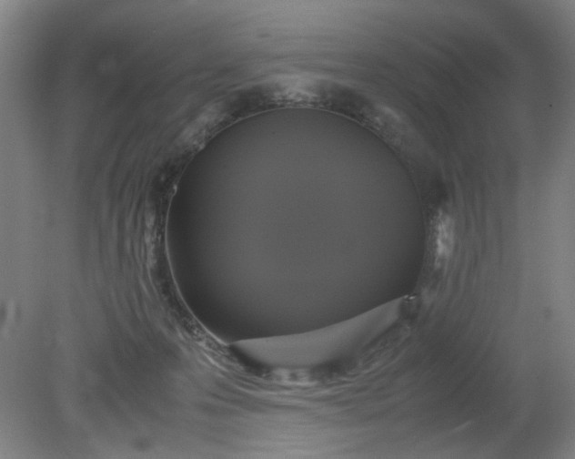 X0000079320223200612011850