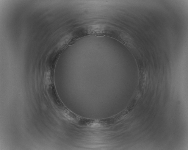 X0000079320224200612011850