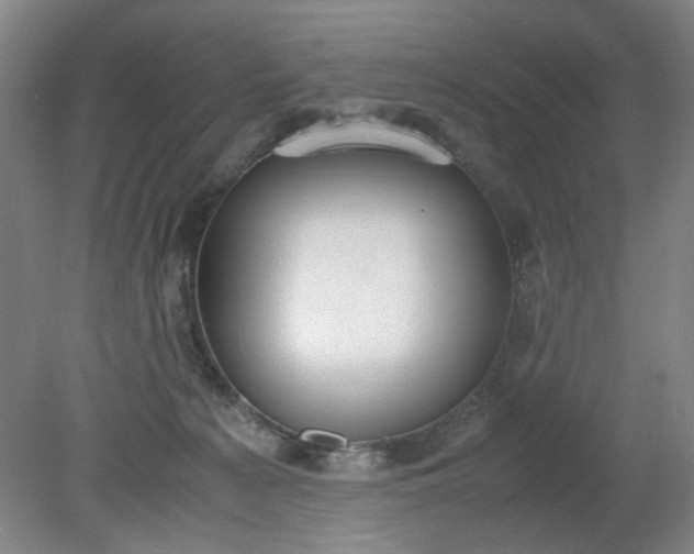 X0000079320225200612011850