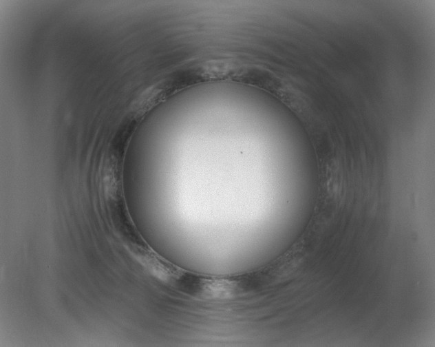 X0000079320226200612011850