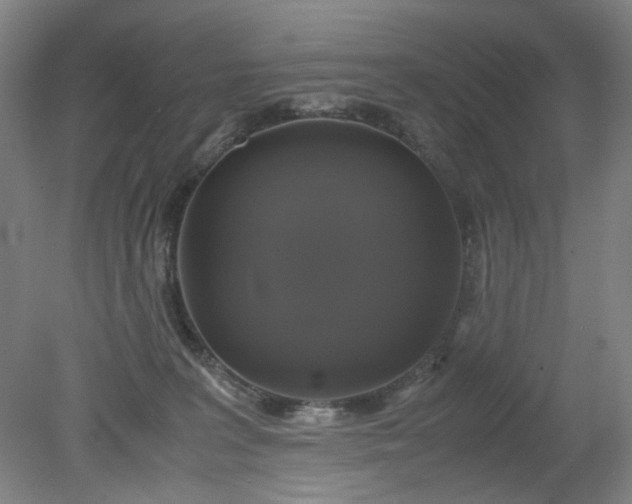 X0000079320227200612011850